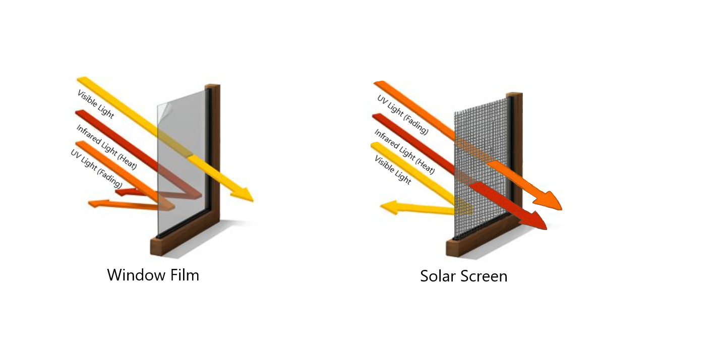 Window Film versus Solar Screen